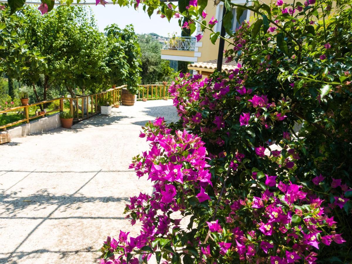 Linda House Corfu Apartment Gastouri  Exterior photo