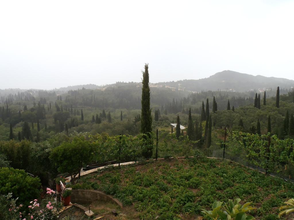 Linda House Corfu Apartment Gastouri  Room photo